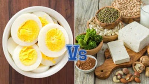 Headline: Vegetarian Power: 20 Plant-Based Protein Sources That Outperform an Egg