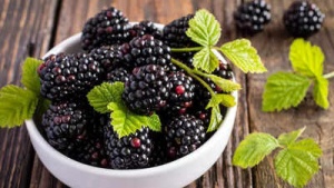 Blackberries: The Tiny Superfruit Packed with Antioxidants, Heart-Healthy Benefits, and More