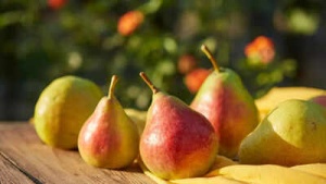 Pear Power: Unlocking the Health Secrets of Babugosha, From Immunity Boost to Diabetes Management
