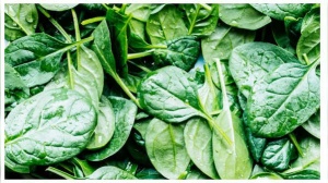 Healthy Foods That Can Trigger Kidney Stones: A Dietary Guide