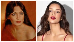 Triptii Dimri Poised to Portray Parveen Babi in Upcoming Biopic Series?