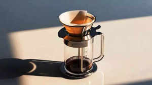 Harvard Study Reveals the Healthiest Way to Brew Coffee: Why Filtered is Best