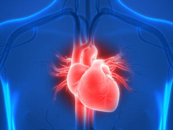 Image representing the benefits of staying hydrated for heart health.