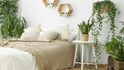 Harvard gastroenterologist urges people to throw away THESE 3 toxic bedroom items ASAP