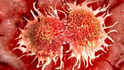 Vitamin C deficiency can increase the risk of stomach, oesophagus, and lung cancers; check its symptoms