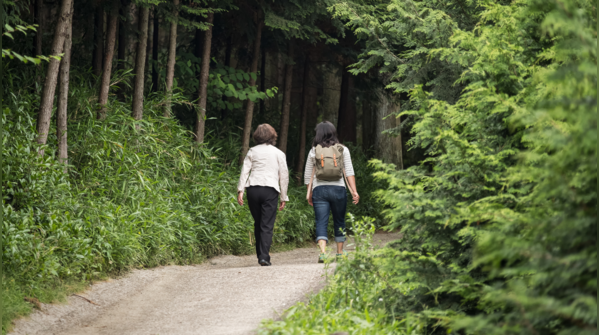 Saturday: Forest bathing for stress reset