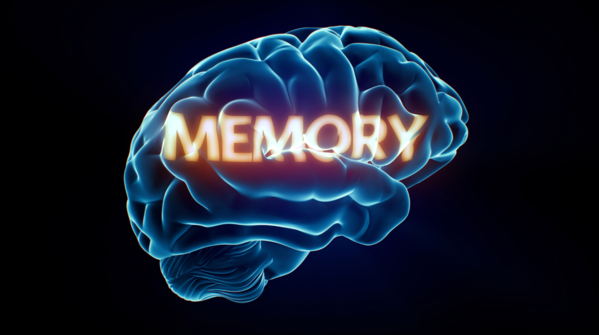 Friday: Practice the “memory palace” for recall