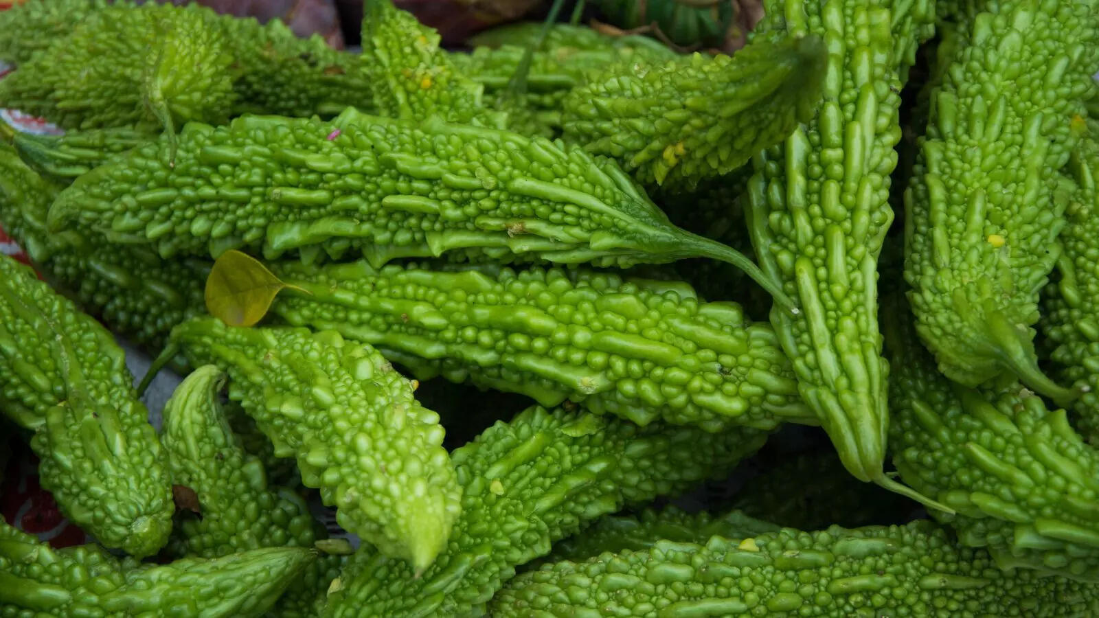 Bitter gourd (karela)