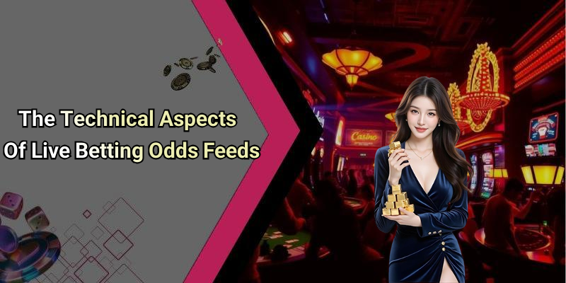 The Technical Aspects Of Live Betting Odds Feeds