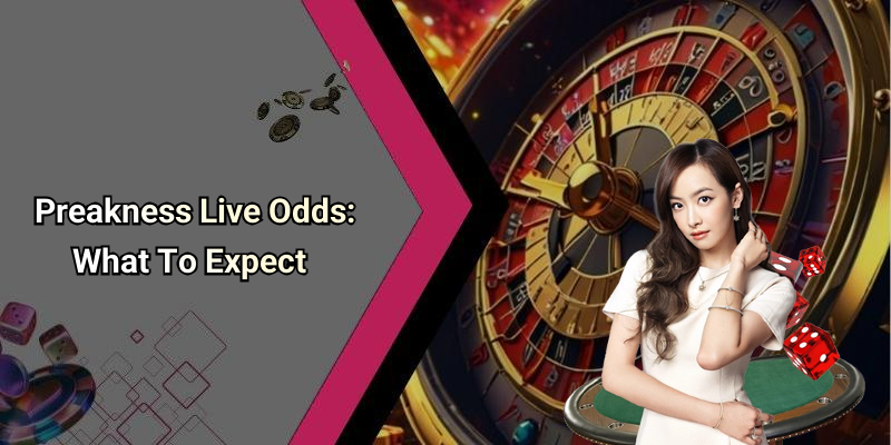 Preakness Live Odds: What To Expect