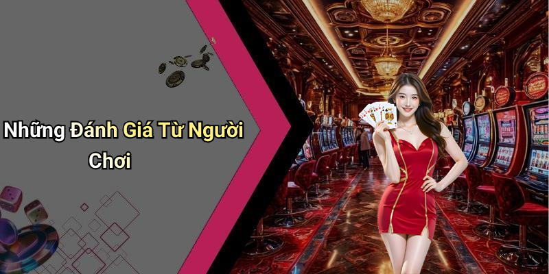 Những Đánh Giá Từ Người Chơi